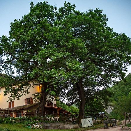 Villa Agriturismo le due querce à Cerreto di Spoleto Extérieur photo